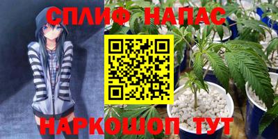 мдпв Аша