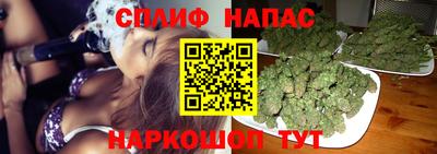 мдпв Ачхой-Мартан