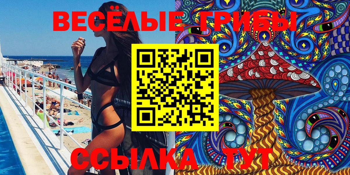 Псилоцибиновые грибы GOLDEN TEACHER  Галлюциногенные грибы мицелий  Вход с VPN  Ачхой-Мартан 