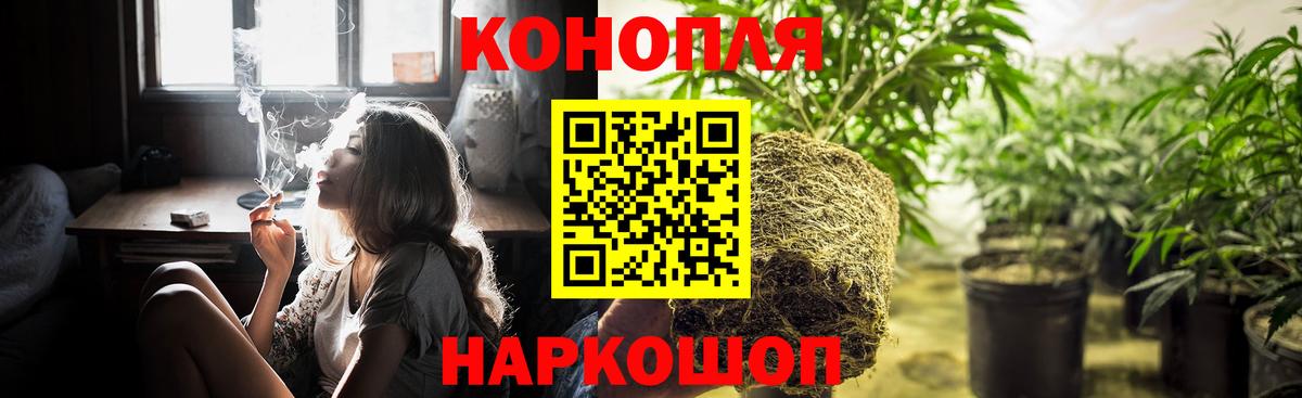 Шишки марихуана тримм Ачхой-Мартан